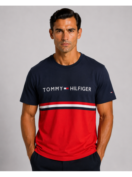 VİP PREMİUM TOMMY HILFIGER SIFIR YAKA T-SHİRT 4
